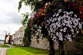 Sodbury In Bloom - image supplied by RichMcD Photography